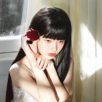 迷你特工队之拯救恐龙王